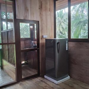Green Herbal Ayurvedic Eco-Lodge